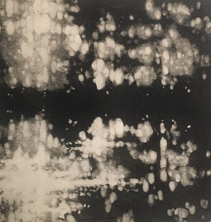 Baptist Morizot, ser un grupo y que la especie importe